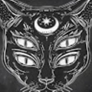 Meet your Posher, Zoey